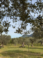 /album/galleria-di-foto/whatsapp-image-2025-10-12-at-15-19-53-1-jpeg/